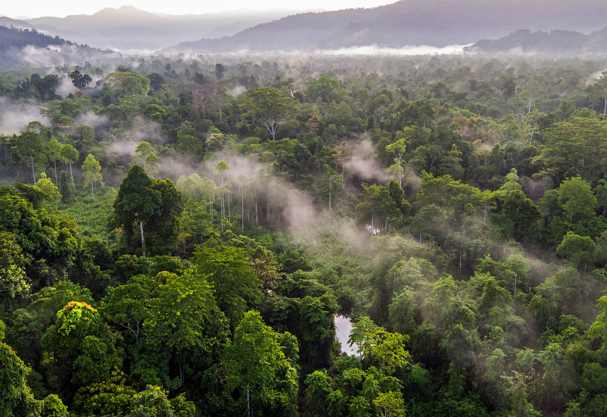 ͼǹ(H88)ͼƽ̨_ͼַ鲩